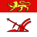 Bandiera comunale: Aranno