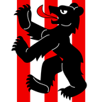 Bandiera comunale: Bäriswil