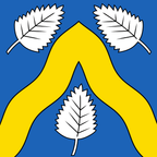 Bandiera comunale: Bioley-Magnoux