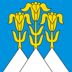 Bandiera comunale: Blumenstein