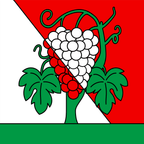 Bandiera comunale: Bourg-en-Lavaux