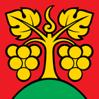 Bandiera comunale: Bühl