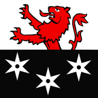 Bandiera comunale: Bursinel