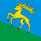 Bandiera comunale: Cerentino