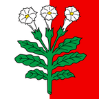 Bandiera comunale: Corcelles-près-Payerne