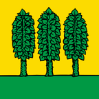 Bandiera comunale: Genolier