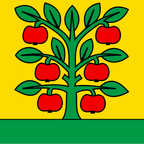 Bandiera comunale: Grossaffoltern