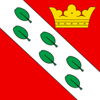Bandiera comunale: Herzogenbuchsee