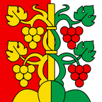 Bandiera comunale: Hilterfingen