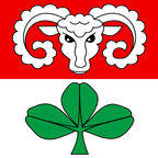 Bandiera comunale: Kaufdorf