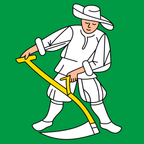 Bandiera comunale: Madiswil