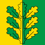 Bandiera comunale: Mirchel