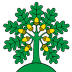 Bandiera comunale: Montanaire