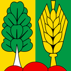 Bandiera comunale: Müntschemier