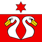 Bandiera comunale: Niederhünigen