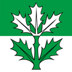 Bandiera comunale: Oberbalm