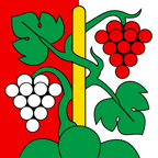 Bandiera comunale: Oberhofen am Thunersee