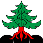 Bandiera comunale: Pohlern