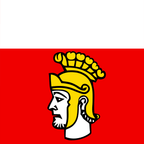 Bandiera comunale: Poliez-Pittet