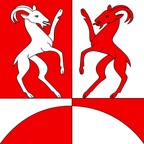 Bandiera comunale: Ponte Capriasca