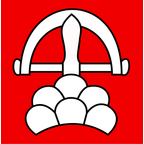 Bandiera comunale: Ringgenberg (BE)