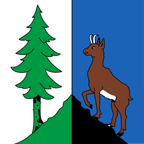 Bandiera comunale: Roche (VD)