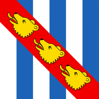 Bandiera comunale: Ursins