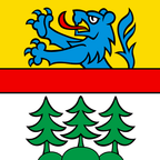 Bandiera comunale: Wald (BE)