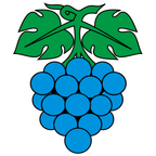 Bandiera comunale: Wynau